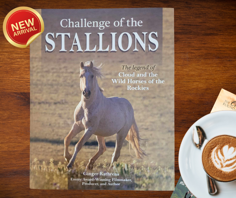 NEW DESIGN! * Cloud: Challenge of the Stallions! — The Cloud NEW DESIGN! * Cloud: Challenge of the Stallions! — The Cloud